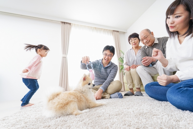 ペットと暮らす家づくり